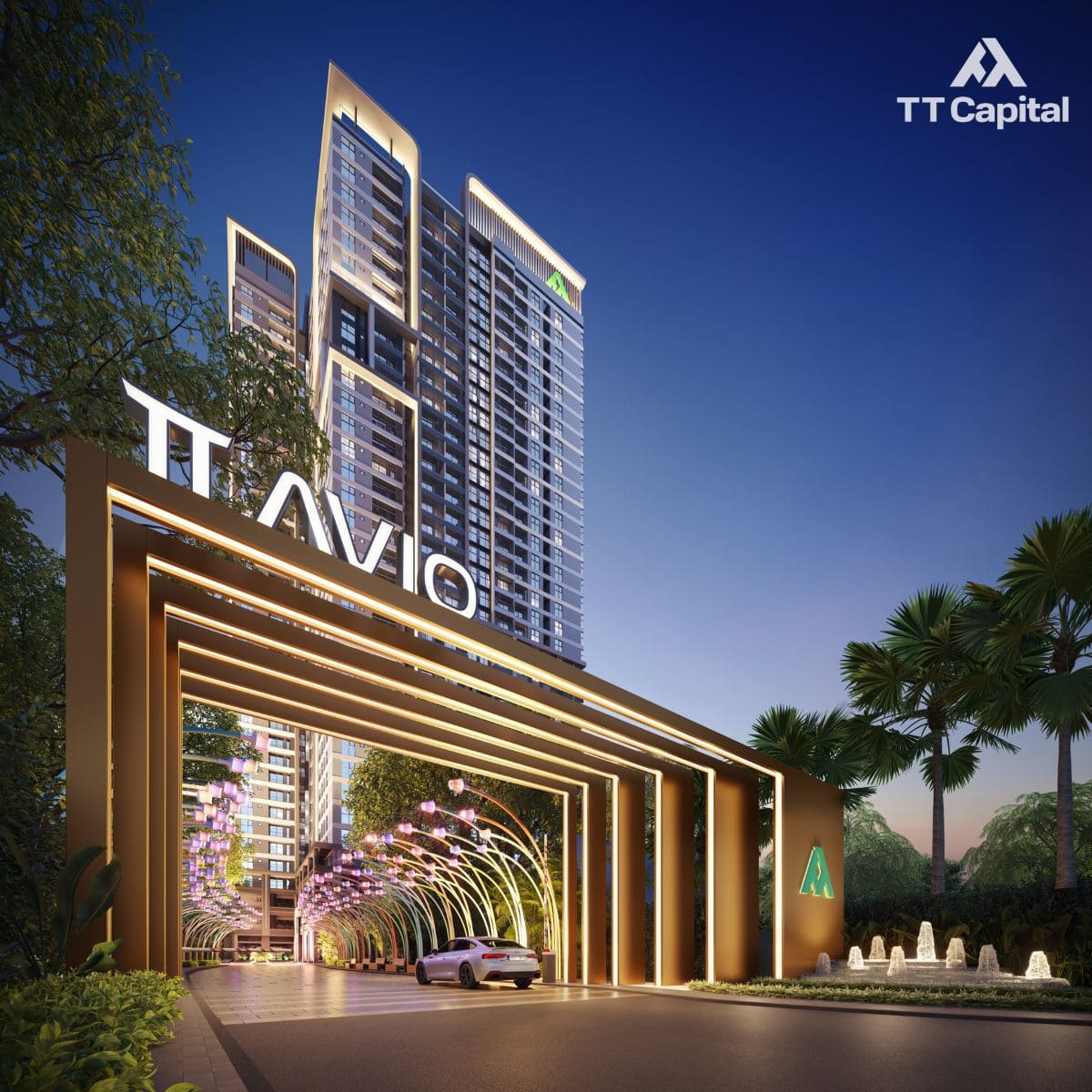 TT AVIO – Nhật Bản + TT Capital